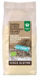 FARINA DI RISO INTEGRALE 375G