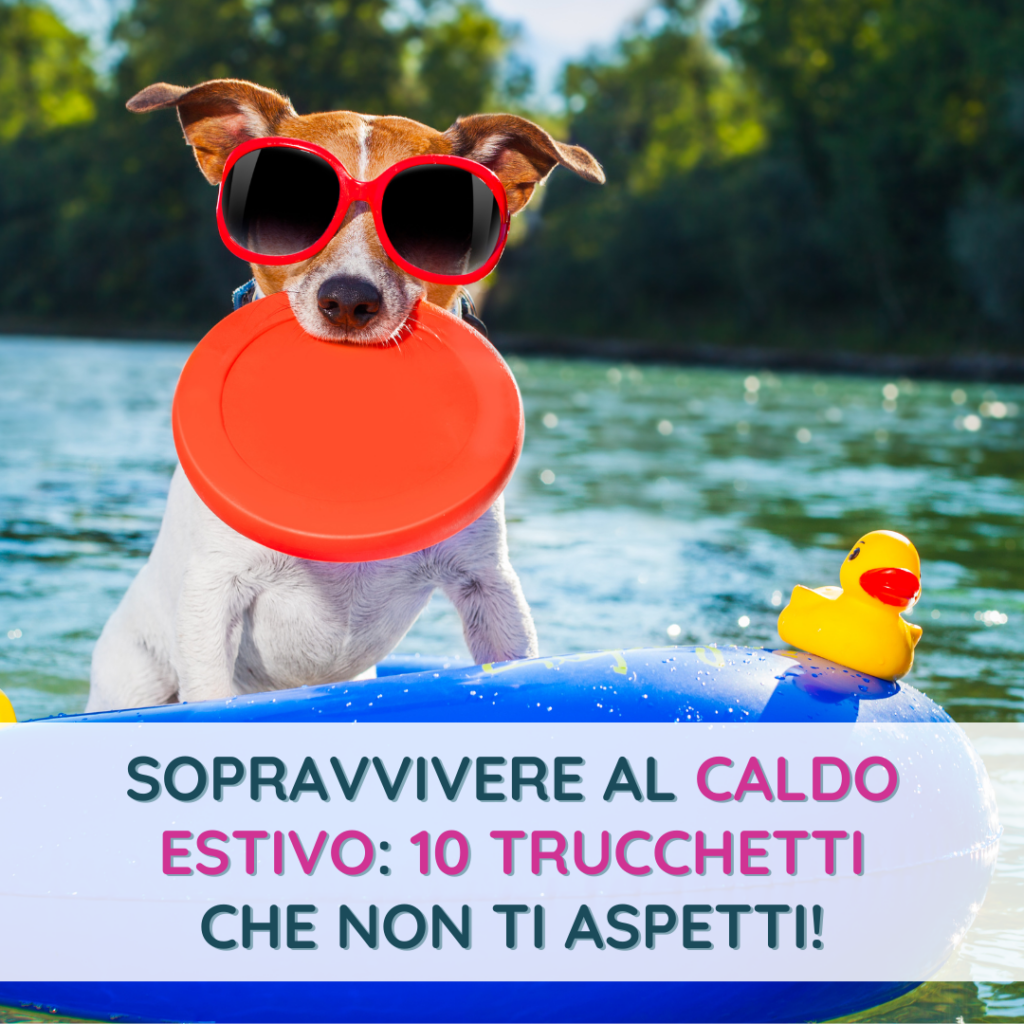 Sopravvivere al caldo estivo: 10 trucchetti che non ti aspetti